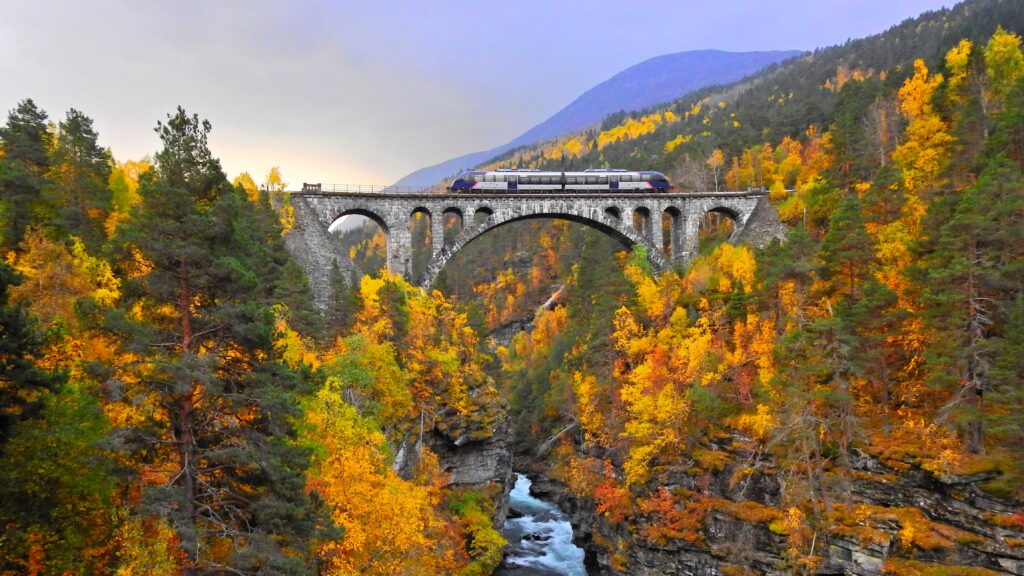 Journey on Iconic Scenic Railways things to do in norway 